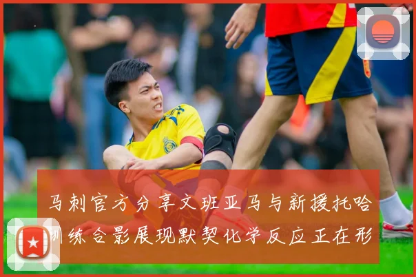 马刺官方分享文班亚马与新援托哈训练合影展现默契化学反应正在形成